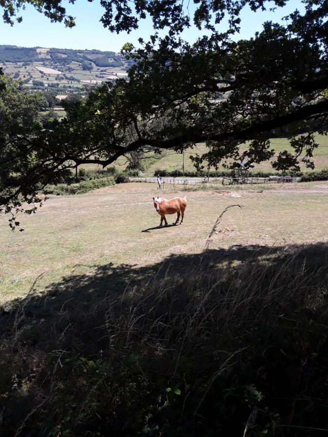 Village.Insolite Montagny-sur-Grosne Екстер'єр фото